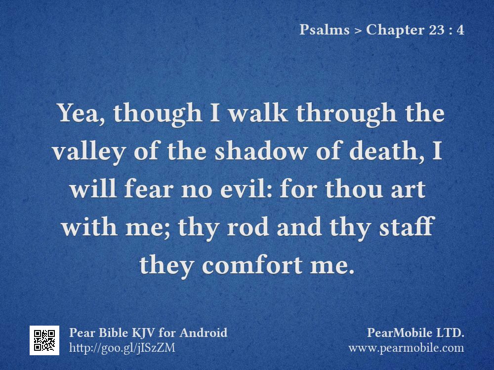 Psalms, Chapter 23:4